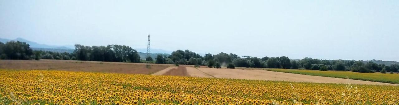 Splendido Ampio Appartamento A Montepulciano Zewnętrze zdjęcie