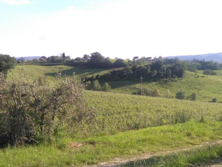 Splendido Ampio Appartamento A Montepulciano Zewnętrze zdjęcie